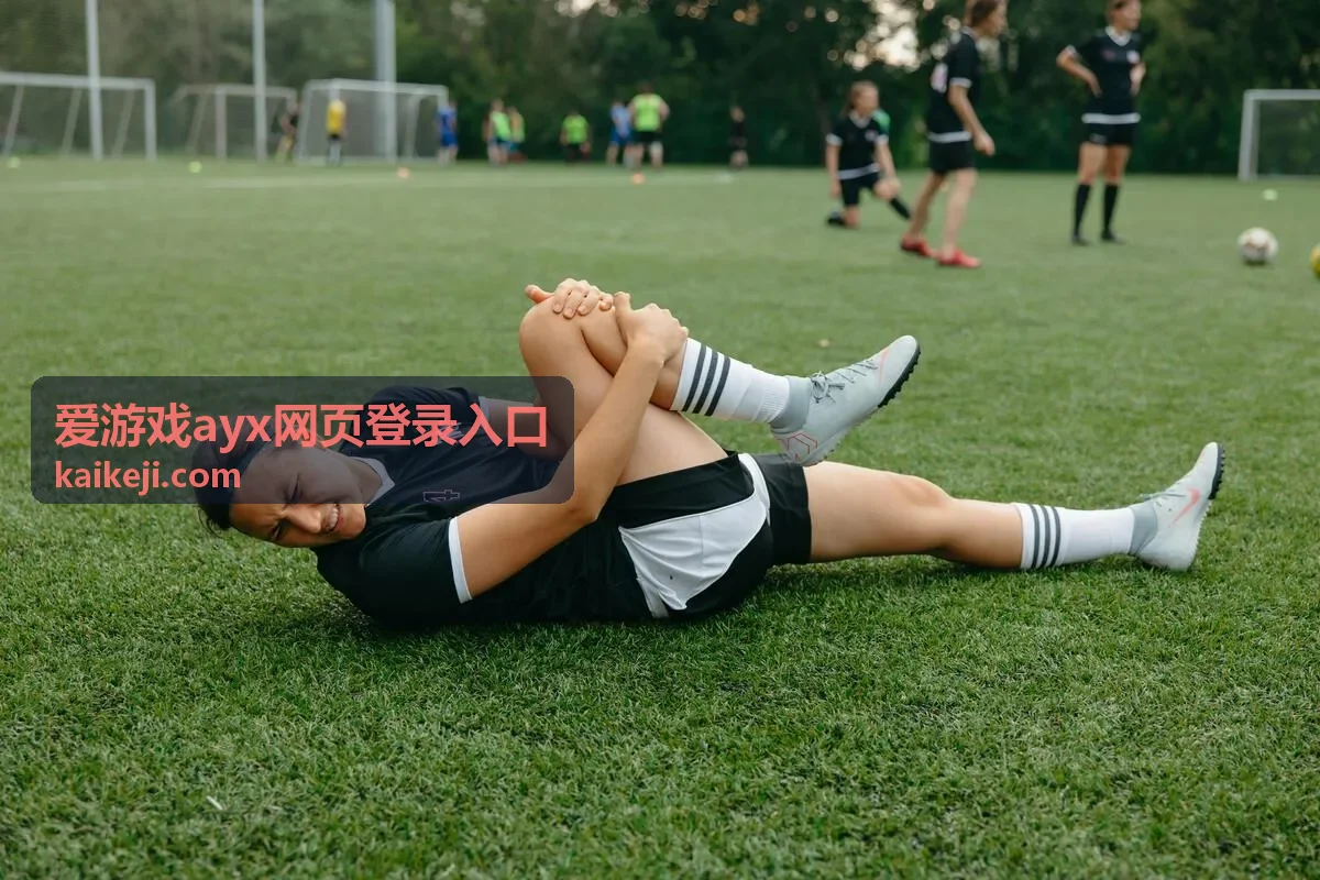爱游戏ayx网页登录入口步骤演示画面
